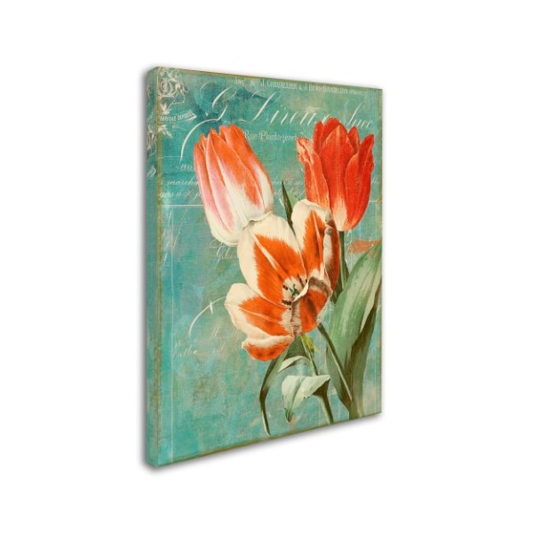 Color Bakery 'Tulips Ablaze II' Canvas Art,24x32